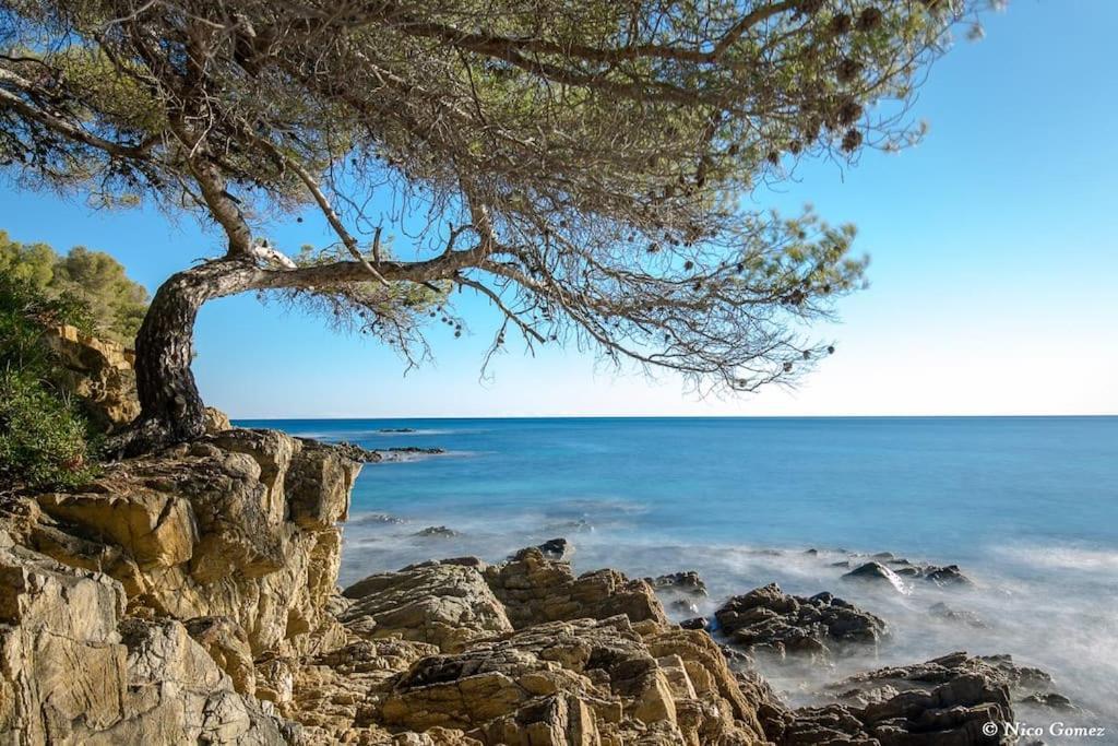Roquebrune-Sur-Argens, Villa 2 Pieces, 4 Personnes Kültér fotó
